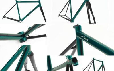 Borea: evolution of steel