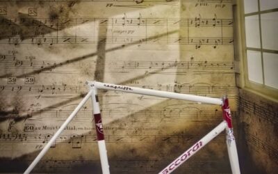 New Griffe, a modern vintage bike