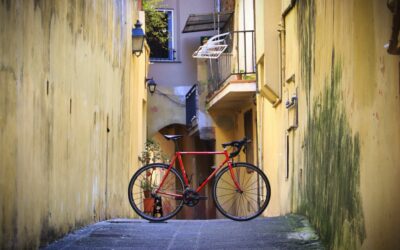 The beauty of the design of a steel bike