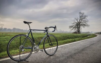 Rediscovering Timeless Beauty: The Daccordi Bella
